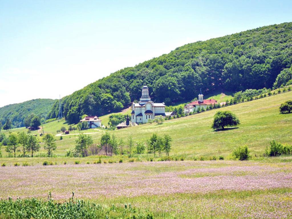 Casa Bradet Vendégház Întorsura Buzăului Kültér fotó